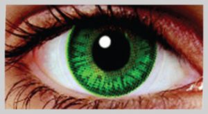 Emerald Green Eye Contacts for Dark Brown Eyes