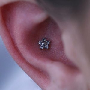 Conch Piercing