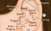 Types of Ear Piercings