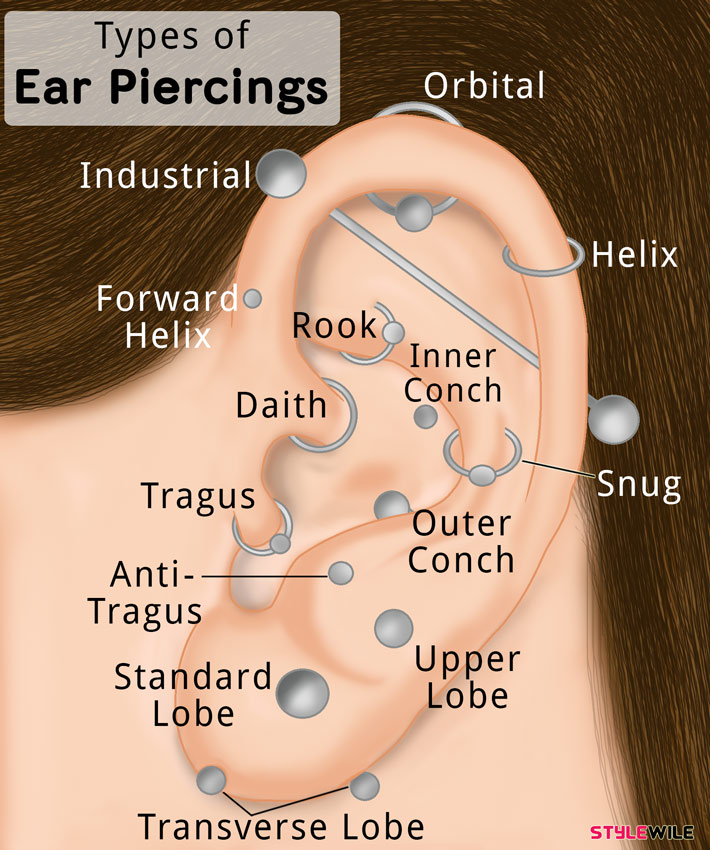 13 Types Of Ear Piercings That Will Look Cute On You Stylewile